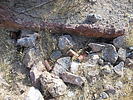 photo thumbnail #6