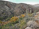 photo thumbnail #6