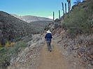 photo thumbnail #7