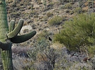 photo thumbnail #14