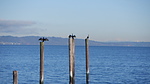 photo thumbnail #9
