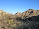photo thumbnail #1