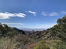 photo thumbnail #1