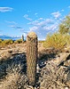 photo thumbnail #5