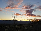 photo thumbnail #1