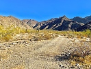 photo thumbnail #2