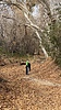 photo thumbnail #15