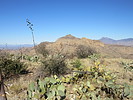 photo thumbnail #13