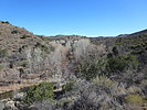 photo thumbnail #3