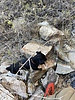 photo thumbnail #2