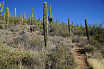 photo thumbnail #5