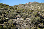 photo thumbnail #9