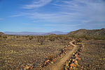 photo thumbnail #6