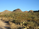 photo thumbnail #2
