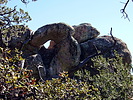 photo thumbnail #10