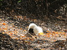 photo thumbnail #14