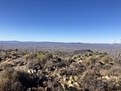 photo thumbnail #4