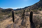 photo thumbnail #7