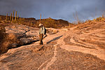 photo thumbnail #5