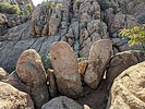 photo thumbnail #6