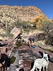 photo thumbnail #10