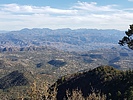 photo thumbnail #3