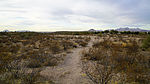 photo thumbnail #6