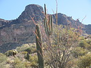 photo thumbnail #5