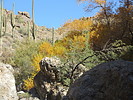 photo thumbnail #6