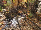 photo thumbnail #8