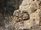 photo thumbnail #15