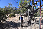 photo thumbnail #2