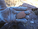photo thumbnail #12