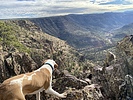 photo thumbnail #6