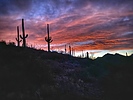 photo thumbnail #1