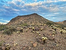photo thumbnail #10