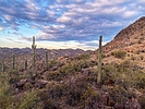 photo thumbnail #13