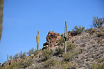 photo thumbnail #4