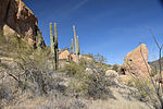 photo thumbnail #9