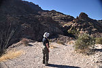 photo thumbnail #12