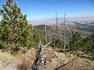 photo thumbnail #3