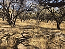 photo thumbnail #6