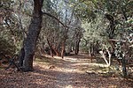 photo thumbnail #5