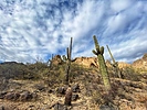 photo thumbnail #4