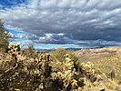 photo thumbnail #8