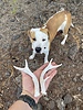 photo thumbnail #3