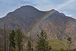photo thumbnail #14