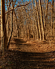 photo thumbnail #13
