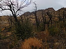 photo thumbnail #4