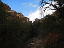 photo thumbnail #7